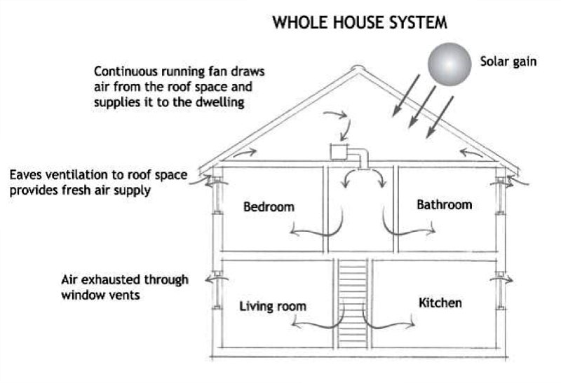 Dampness And Condensation Dampness And Condensation